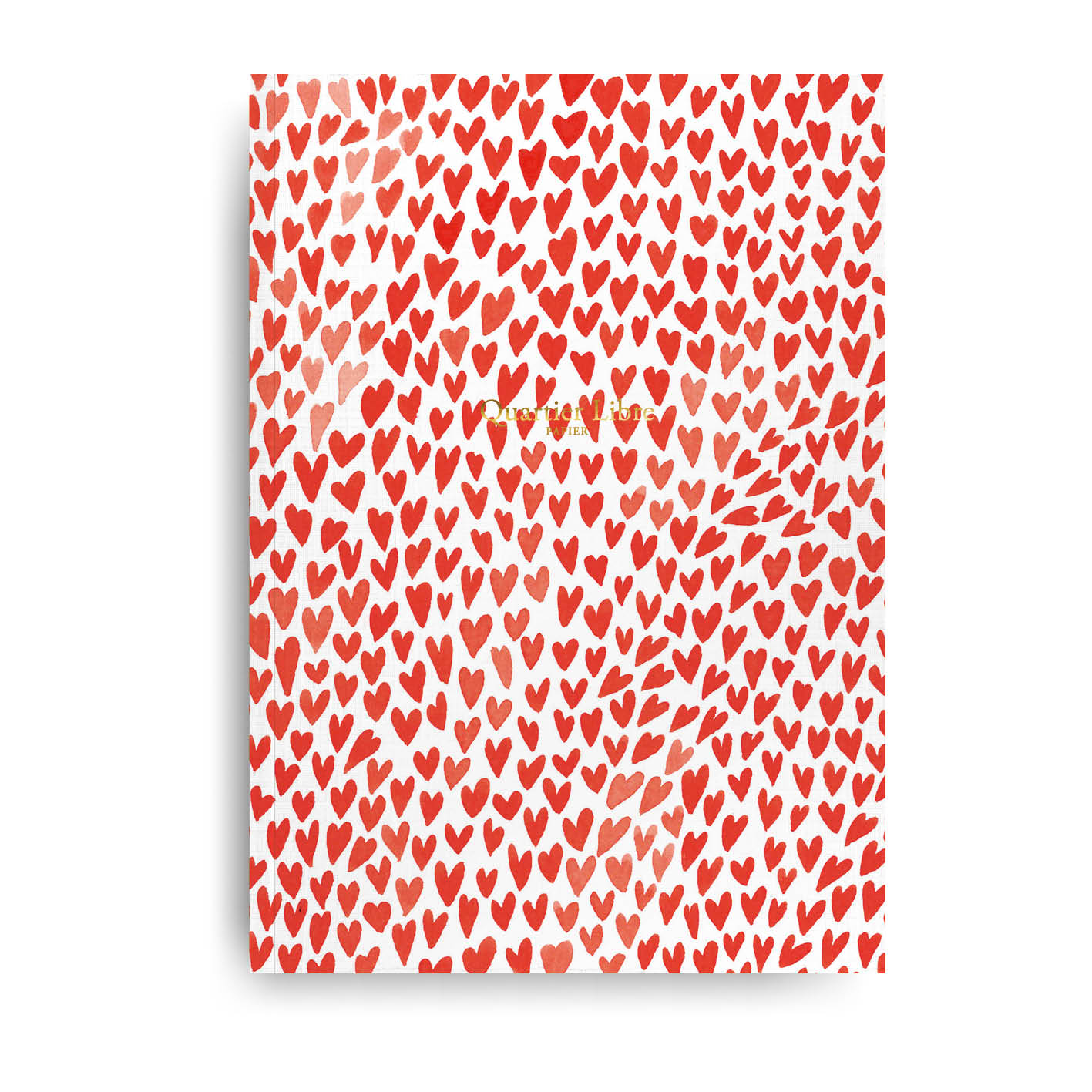 Grand carnet couverture coeurs